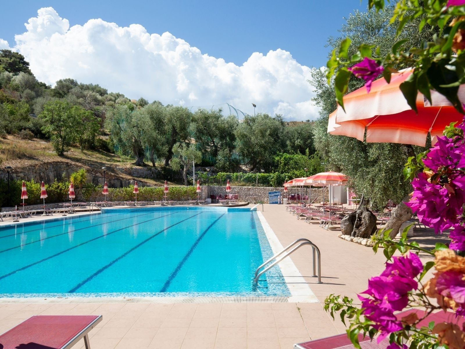 Hotel delle More - hotel a Vieste con ristorante