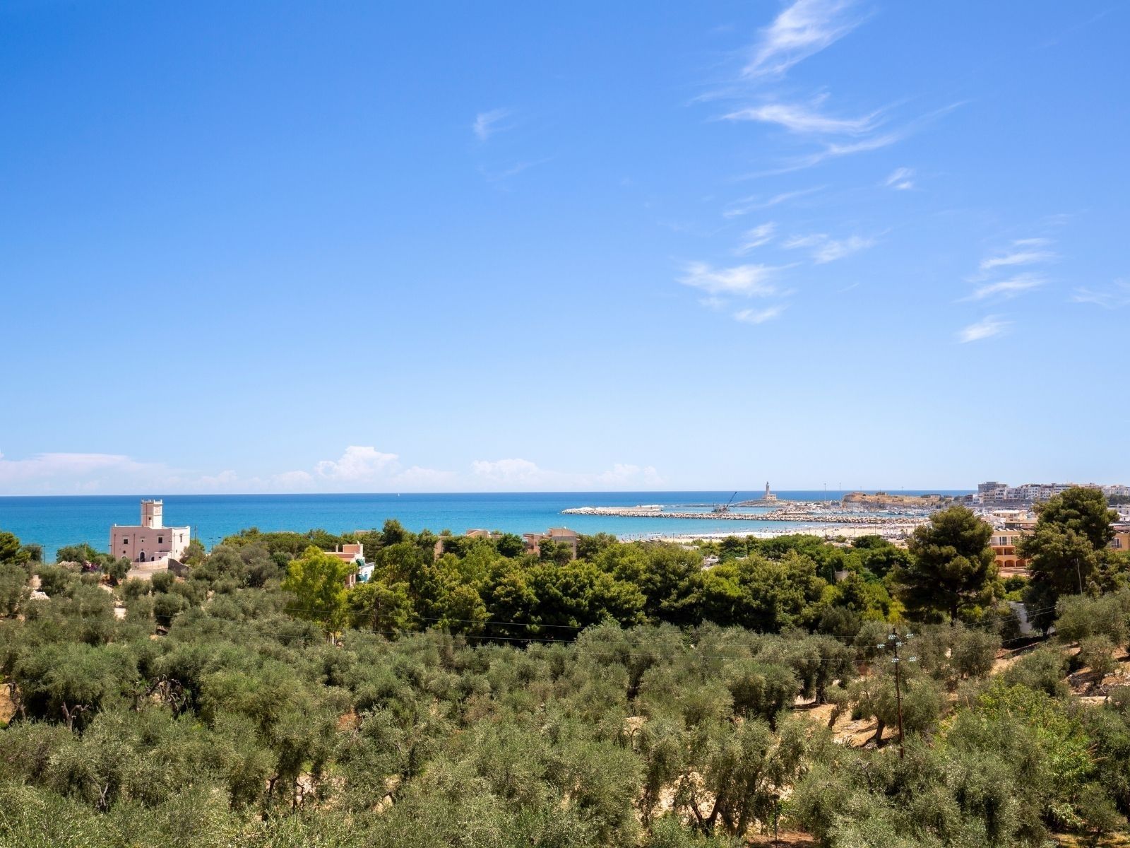 Hotel delle More - hotel a Vieste con ristorante